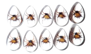Spiny <b>Spider</b> Real Specimen <b>Plastic</b> Cabochon Pear Shape Cut Top 33x22 mm Clear Flat Bottom for Crafts and Jewelry Making - Product Image 2