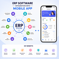 Application mobile de gestion des stocks ERP, comptabilité d'entreprise, CRM, suivi des employés, Android, MAC, Linux, multilingue, Internet