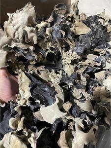 Natural Dried Black Fungus Wood Ear Mushroom For Culinary Use High Fiber Raw Material For Food Processing And Export Supply - Product Image 4