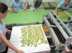 Coco dulce al por mayor, 100% orgánico y vegano, sin conservantes, listo para comer, OEM B2B - Product Image 4