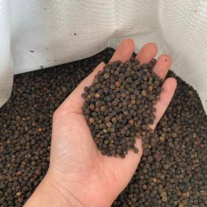 Meilleure Vente Meilleure Qualité Certifié ISO 100% Naturel Poivre Noir Piment 550GL Séché Brut Épices Simples Herbes en Poudre - Product Image 5