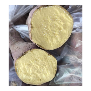 Batata Morada Congelada de Alta Calidad Producida en Vietnam para Procesamiento de Alimentos, Venta al por Menor, al por Mayor y Mercados Internacionales - Product Image 1
