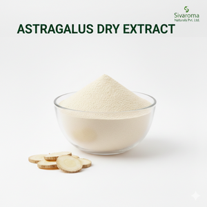 Extracto Seco de Astrágalo de Alta Pureza para Compradores Internacionales que Buscan Textura Uniforme y Procesamiento Controlado - Product Image 2
