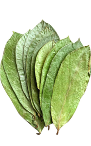 Té de Hoja de Guanábana Seca Premium, Empaque a Granel en Caja, Suministro Directo de Fábrica en Vietnam - Product Image 2
