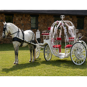 Navidad Cenicienta Carro de caballos Turista Cenicienta Carruajes Fabricante Boda australiana Cenicienta Carruajes Australia - Product Image 1