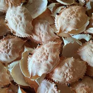 Wholesale <b>Crab</b> <b>Shell</b> Restaurant Food Service Supply Polished Low Odor <b>Crab</b> Carapace - Product Image 1