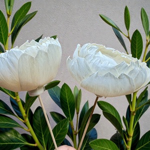 Flores de Madera Sola VADEE, Hechas a Mano, Sostenibles, Color Marfil, Simétricas, de 8.5 CM, con Varilla de Fibra de Planta Sesbania de Tailandia - Product Image 3