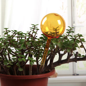 Globe en verre fait main en forme de cœur d'oiseau, <span class=keywords><strong>arroseur</strong></span> <span class=keywords><strong>automatique</strong></span> pour plantes d'<span class=keywords><strong>intérieur</strong></span> en pot - Product Image 3