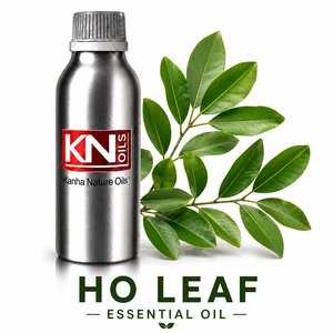 100% Pure Hot Selling HO Leaf <b>Essential</b> <b>Oil</b> Cinnamomum Camphora Bulk Manufacturer Organic Certified Global Exporter Wholesaler - Product Image 1
