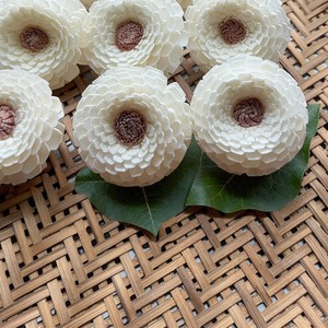 VADEE SOLA WOOD FLOWER Craft Handmade Sustainable Flower 5.5 CM Sesbania Plant Fiber Rod Thailand Model VDXXX-071 - Product Image 5