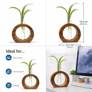 Vase moderne en bois avec anneau, pot de fleurs en verre pour tubes à essai, support de fleurs de bureau, décoration intérieure - Product Image 1