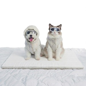 [Daejin Electronics] Tapis rafraîchissant lavable pour animaux de compagnie Brys, coussin rafraîchissant pour chien, article de la marque Daejin, marque de confiance - Product Image 1