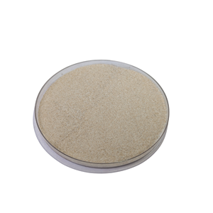 Poudre de jus de longane séchée par atomisation, qualité alimentaire, emballée sous vide pour applications alimentaires et boissons, boisson instantanée - Product Image 2