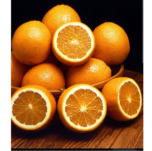 Naranjas Frescas de Alta Calidad, Cosechadas en Granja, Cítricos con Sabor Intenso para Mercados Mayoristas y Nutrición Diaria - Product Image 5