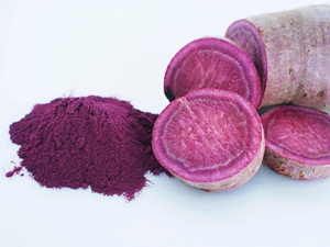 High Quality Purple Sweet Potato Powder Rich in Anthocyanin for Health Foods Beverages and Bakery - Product Image 5