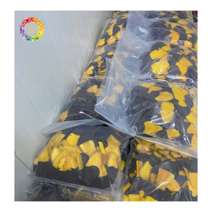 Mangues séchées enrobées de chocolat, collation de mangues moelleuses et moelleuses de qualité supérieure pour l'exportation, mangues séchées enrobées de chocolat au goût naturel - Product Image 1