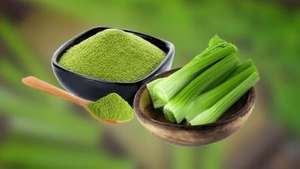 Polvo de Hoja de Apio 100% Natural |   Polvo de Vegetales Verdes para Bebidas y Vida Saludable - Product Image 1