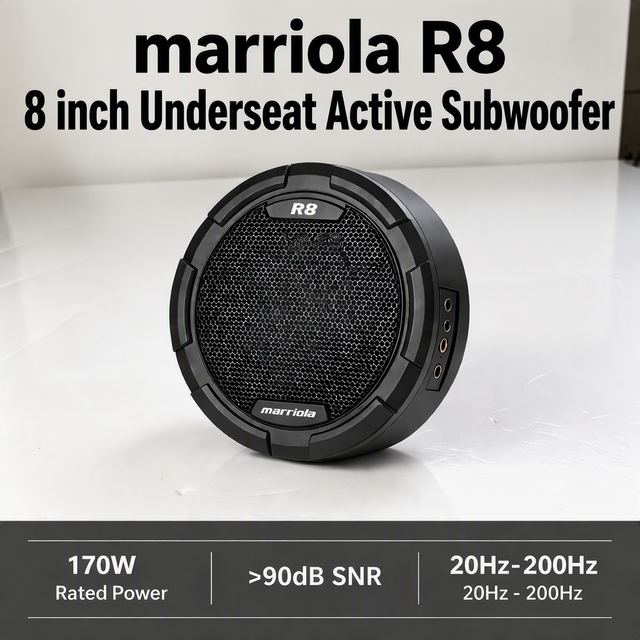 Portable 8 Inch Active Car Subwoofer Mono Amplifier 170W Under Seat Bass Subwoofer System