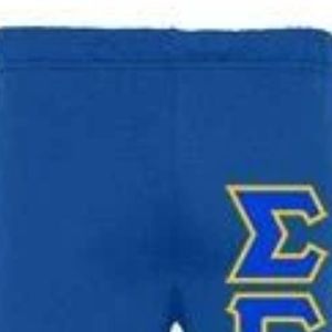 Pantalones Deportivos con Letras Sigma Gamma Rho Azules para Mujer, Pantalones Casuales de Chándal, Ropa de la Hermandad Griega, Pantalones Deportivos de Felpa - Product Image 2