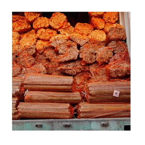 Varas de Bambú Cortadas a Medida, Favoritas de los Clientes, para Artesanías Tradicionales, Decoraciones Hechas a Mano, Proyectos de Cercas y Aplicaciones de Bricolaje - Product Image 5