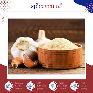 Exportador de Origen India, Polvo de Ajo Seco 100% Puro, de Primera Calidad y Sabor Auténtico, para Cocinar, Marca Spicecentra, Precio Bajo - Product Image 2