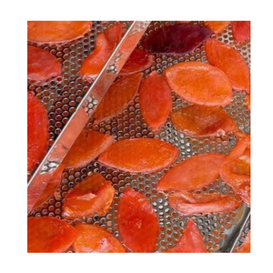 FRUITS DE LA PASSION SÉCHÉS DE BONNE QUALITÉ À DES PRIX APPROPRIÉS DES FOURNISSEURS VIETNAMIENS - Product Image 4