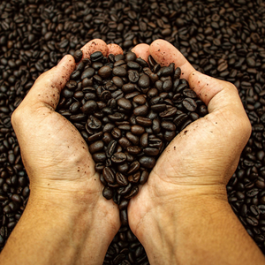 โรบัสต้าคั่วแท้100% กาแฟโรบัสต้า1กก. ทำจากกระบวนการผลิตน้ำผึ้งในราคาไม่แพง - Product Image 5