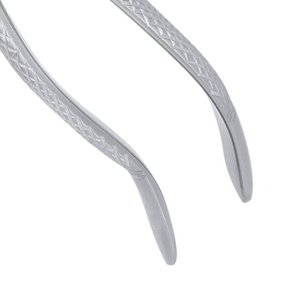 Pinzas de Extracción Dentales Quirúrgicas 76S con Dientes Serrados para Raíces Superiores, Instrumento de Cirugía Oral de Acero Inoxidable - Product Image 3