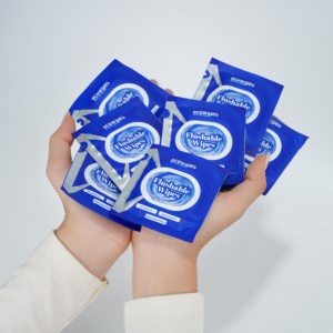 Lingettes nettoyantes humides écologiques de haute qualité, non tissées, 1 sachet, 20 sachets par boîte, biodégradables pour bébés, Ecowipes du Vietnam - Product Image 3