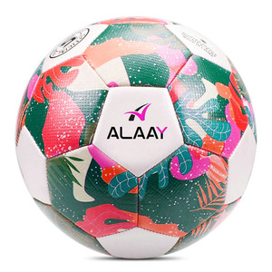 Balón de Fútbol Cosido a Máquina Talla 5, Económico y Personalizable - Product Image 6