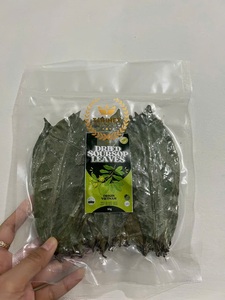 Takimex เวียดนามขายส่งสมุนไพรพรีเมี่ยมแห้งธรรมชาติสีเขียว SOP guanabana ใบสำหรับชา/ใบกริโอลาแห้ง - Product Image 4