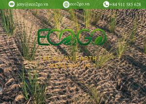 Eco2go Vietnam Filet en fibre de coco durable |   Tissu en fibre de coco naturelle 400-900 GSM pour le contrôle de l'érosion des sols, l'aménagement paysager et l'agriculture - Product Image 3