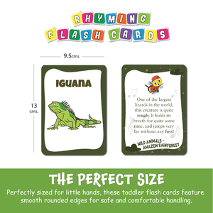 Tarjetas Educativas Biplob's de Animales de la Selva Amazónica, Personalizadas para Amazon, 28 Tarjetas Educativas de Doble Cara con Imágenes y Rimas, Certificación CPC - Product Image 3