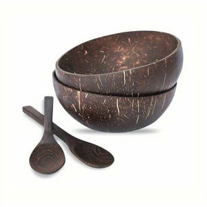 Cuencos desechables de cáscara de coco pulido de alta calidad, vajilla ecológica para el hogar, utensilios de restaurante para ocasiones de Graduación - Product Image 2