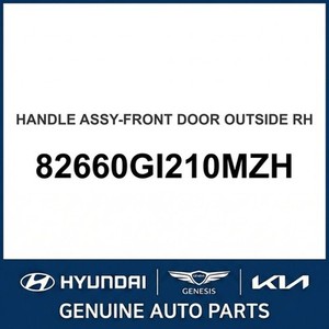 Cerraduras y Herrajes Exteriores Nuevos para IONIQ 5 82660GI210MZH - Product Image 1