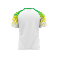 Uniformes Deportivos Personalizados OEM, Camisetas Impresas para Golf, Tenis, Fútbol, Running, Secado Rápido, Elásticas en Cuatro Direcciones, Spandex/Poliéster