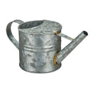 Arrosoir en acier galvanisé écologique WHITE ROYALS de 8 L avec bec verseur amovible pour la décoration intérieure et extérieure du jardin - Product Image 6