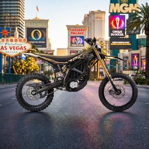 Moto électrique 2025 74v 21kw 60ah longue portée tout-terrain VTT ultra Bee Motocross Dirt Bike Adulte - Product Image 1