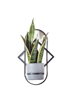 Mignon Art Déco Tige de Fer Ronde Suspendue Porte-Plante Géométrique Mur Planteur Pot pour Fleurs Plantes Rayan International Modèle AR-120 - Product Image 1