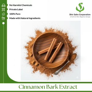 Extrait de Cannelle Commerciale pour les Développeurs de Saveurs Cherchant une Expérience Sensorielle Authentique et une Approvisionnement Fiable en Gros - Product Image 2