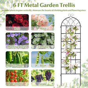 Treillis de jardin en métal, lot de 4, 71" x 20", support pour plantes grimpantes d'extérieur - Product Image 6