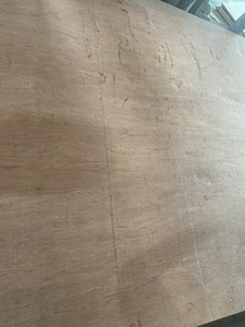 Vietnam Factory Wholesale 5-24mm Bintangor Plywood E0 E1 for Furniture CNC <b>Decoration</b> Interior Panels Export Grade Supplier - Product Image 5
