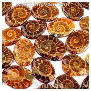 เครื่องประดับอัญมณีแอมโมไนต์ทรงหลวม - Product Image 1