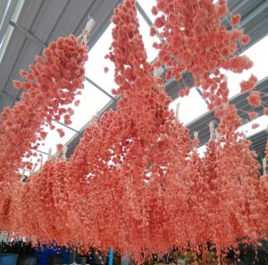 Flor de Bambú Seca Natural 100g, Venta al por Mayor de Fábrica, Ramo Floral para Boda, Diseño Erawan, 3-5 Años de Vida Útil, Tailandia - Product Image 4