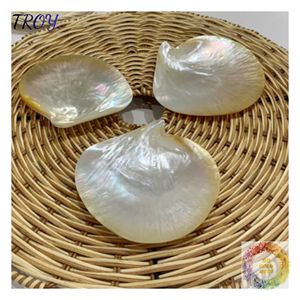 Assiette en coquillage naturel pour cadeaux de fêtes et idées de décoration intérieure élégantes d'inspiration côtière pour les décorations et les boutiques de cadeaux - Product Image 5