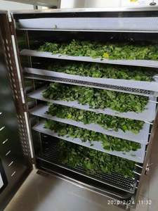 Polvo de apio de Vietnam, alto valor nutricional para el mercado global al mejor precio 2025 - Product Image 2