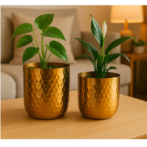 Macetas Metálicas para Plantas de Interior y Exterior, Decoración para Hogar y Jardín, Juego de 2 Macetas para Sala de Estar y Dormitorio - Product Image 5