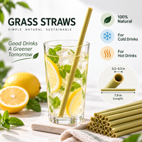 Sedotan Minum Sekali Pakai Ramah Lingkungan Untuk Pesta Biodegradable Komposabel Alami Bambu Cattail Panjang 200mm Asal Vietnam