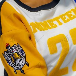 Vente en gros personnalisée Sigma Gamma Rho Sorority Chenille brodée 1922 sweat-shirt attirail grec - Product Image 2