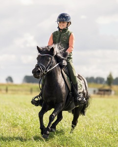 Gilet d'équitation personnalisé pour femmes |   Gilet matelassé pour l'équitation |   Vêtements d'équitation sans manches |   Marque privée OEM - Product Image 2